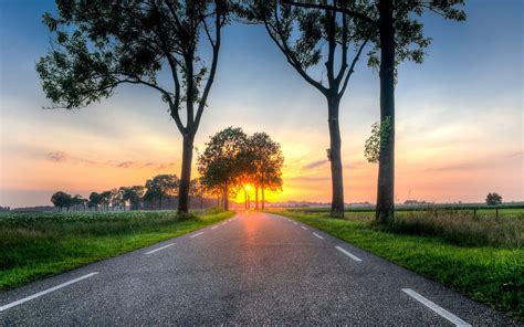 Download Countryside Road Trees At Sunset Wallpaper