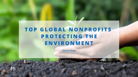 Top 23 Global Nonprofits Protecting The Environment