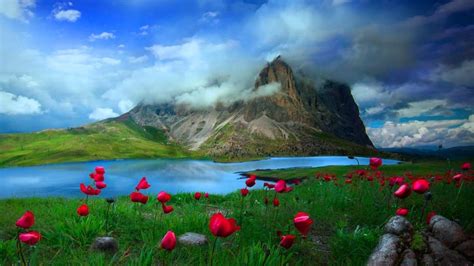 Browse more than 8277 nature wallpapers and backgrounds. HD Nature Wallpapers, Landscape, Natural Images, Windows ...