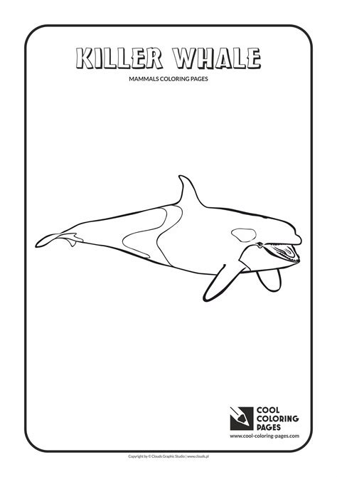 Killer whale swimming in a polar sea. Cool Coloring Pages Mammals coloring pages - Cool Coloring ...