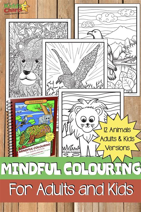 We Have A Gorgeous Colouring Book For You 24 Pages And For The Price