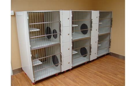 Stainless Steel Cat Cages For Shelters