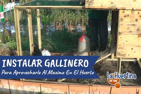 Premios india catalina ganadores : Como Instalar El Gallinero En El Huerto en 2020 (con ...