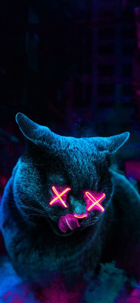 1125x2436 Neon Cat Iphone Xsiphone 10iphone X Hd 4k Wallpapers