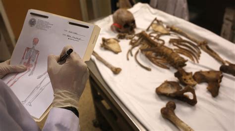How Forensic Anthropologists Reconstruct Deadly Crimes Aande True Crime