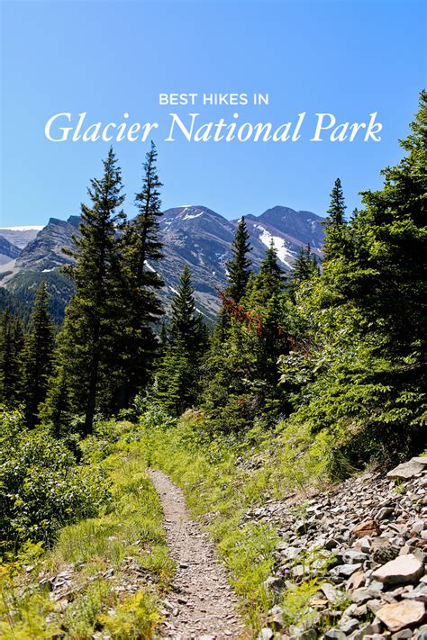 Best Hikes In Glacier National Park Montana Local Adventurer