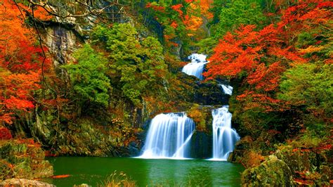 Waterfall In Autumn Forest Hd Wallpaper Background Image