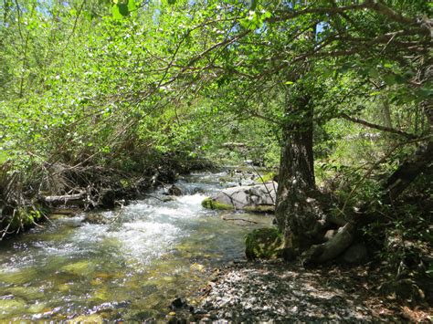 Maybe you would like to learn more about one of these? McGee Creek Campground | Recreation Resource Management