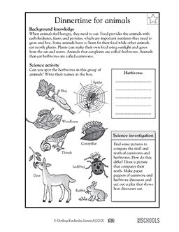 Free printable 3rd grade science worksheets, word lists and activities