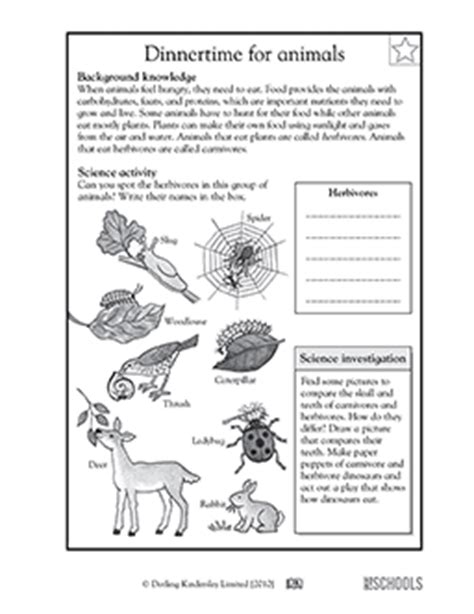 3rd grade science worksheets word lists and activities