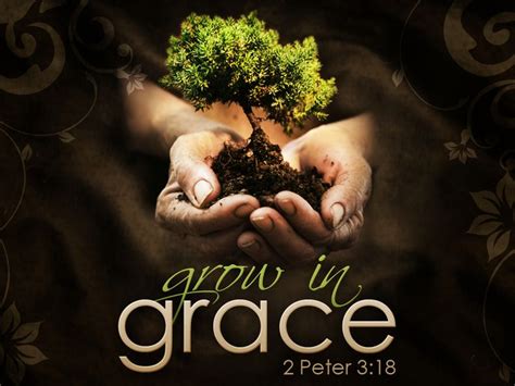 But Grow In The Grace And Knowledge Of Our Lord And Savior Jesus Christ