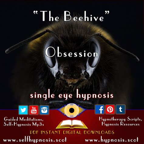 Single Eye Hypnosis Scripts On Twitter The Beehive Anxiety