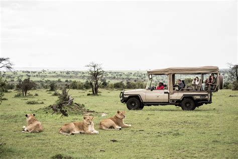 Kenya Africa Safari Holidays With Gamewatchers Safaris