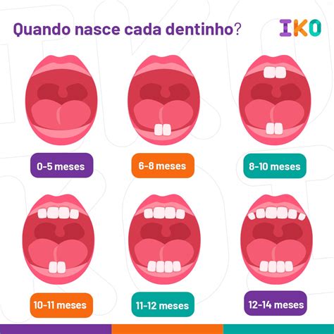 Até Que Idade Os Dentes Crescem