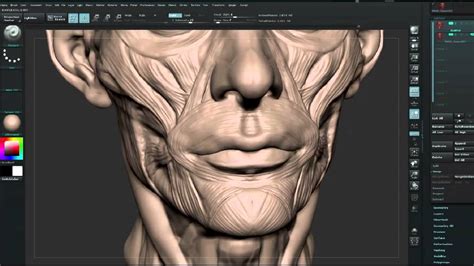 Zbrush Tutorial Sculpt A Face Using Anatomical Principles Part 10