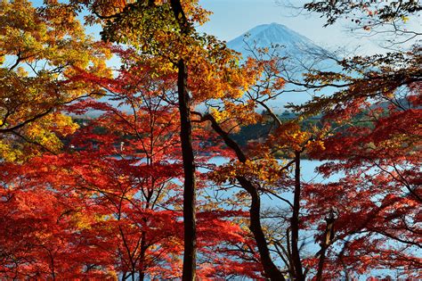 View Of Mountain And Lake Through Autumn Trees Hd