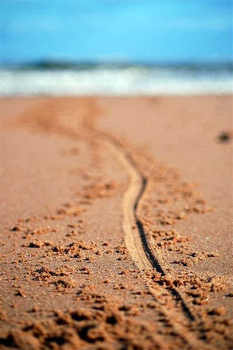 Draw A Line In The Sand Manifested Harmony