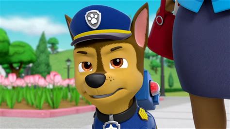 Chase Chase Paw Patrol Photo 42953337 Fanpop