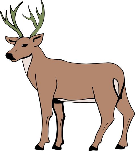 Cartoon Whitetailed Deer Clipart Best