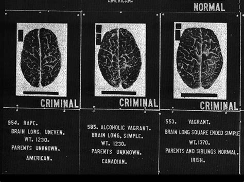 10 Fascinating Findings About The Criminal Brain
