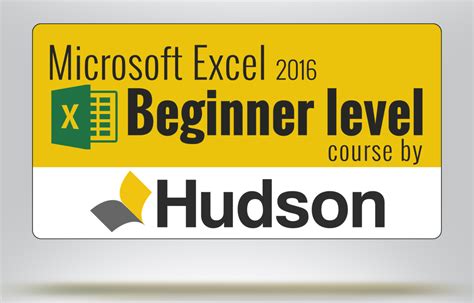 Microsoft Excel 2016 Beginner Level Course Six Sigma Training