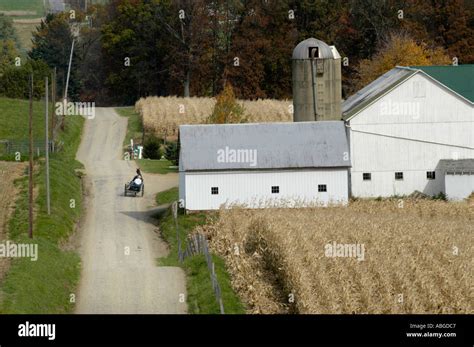 Amish Of The American Heartland Ohio Indiana Pennsylvania Families At