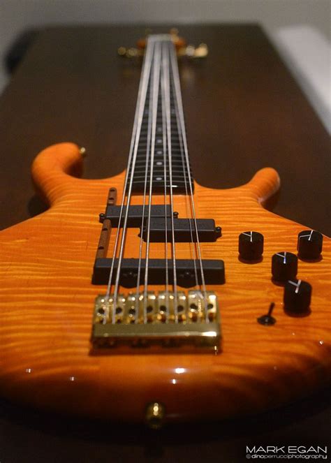 Pin On Unusual Guitars Basses And Related Instruments