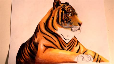 Comment Dessiner Un Tigre Comment Dessiner Un Tigre Comment Dessiner