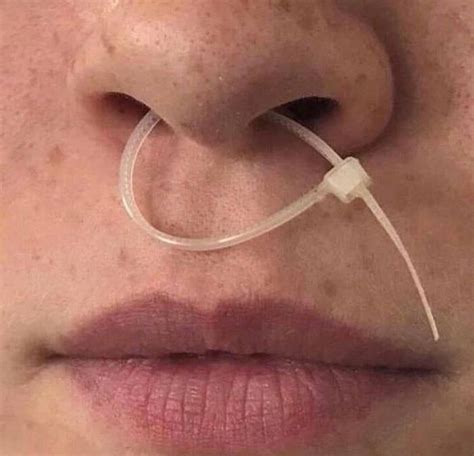 48 Photos That Will Permanently Mess Up Your Brain Nose Ring Septum Piercing Body Piercing
