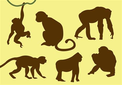 Vector Collection Of Monkey Silhouettes 92914 Vector Art At Vecteezy