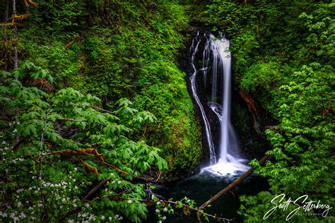 15 Incredible Oregon Waterfalls You Need To See