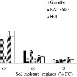 Effects Of Soil Moisture Regimes And Cultivars On Soybean Stomata