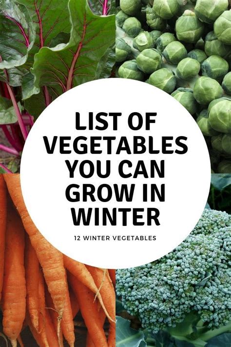 12 Vegetables You Can Grow All Winter Growing Winter