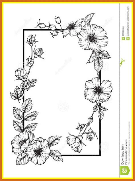 Flower Frame Sketch Flower Sketches Flower Drawing Flower Drawing