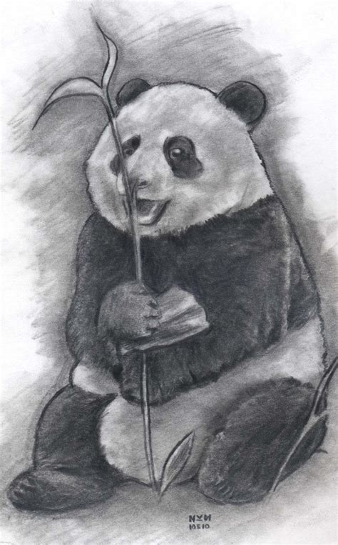 Pandas Are The Best Realistic Drawings Panda Drawing Panda Sketch