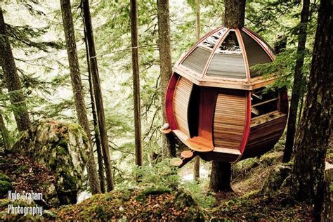Maybe you would like to learn more about one of these? Suspended Wooden Pod Cabin Built Around Tree Trunk