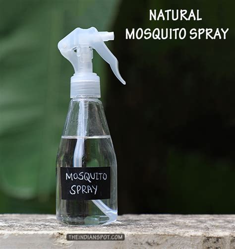 Check spelling or type a new query. DIY Natural Mosquito Spray | THE INDIAN SPOT