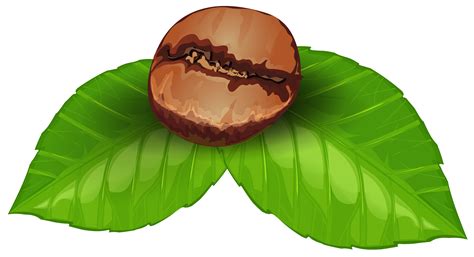 Free Coffee Bean Cliparts Download Free Coffee Bean Cliparts Png