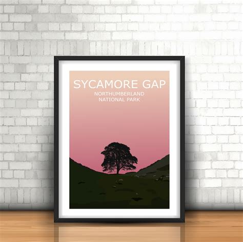 Sycamore Gap Art Print Northumberland National Park Sunset Etsy Ireland