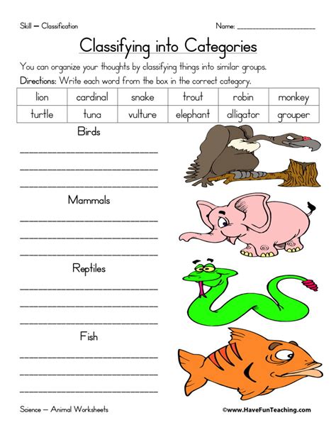 Categories Worksheet 1st Grade