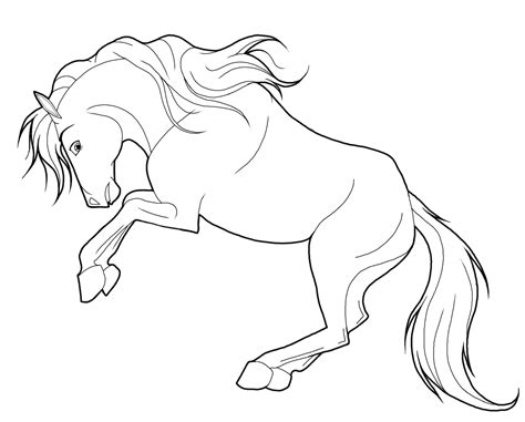 25 Printable Wild Horse Coloring Pages