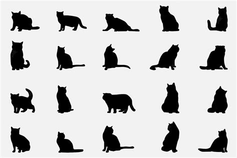 premium vector british shorthair cat silhouettes