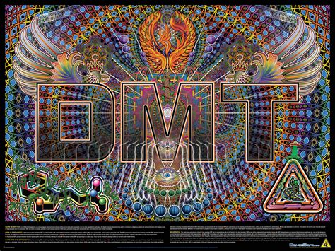 Dmt Dmt The Gateway Drug To The Simulation How Does