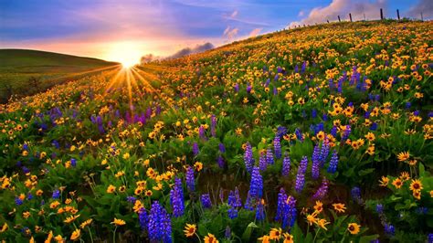 Pacific Northwest Spring Wallpapers Top Free Pacific Northwest Spring