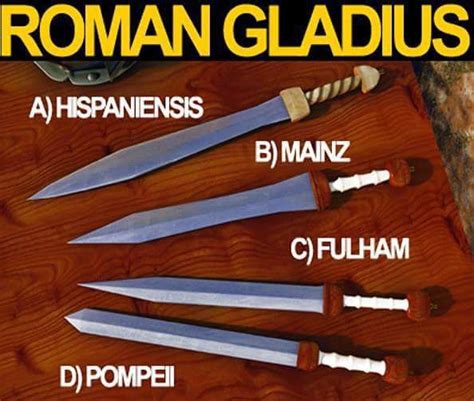 Were Any Other Swords Used By The Roman Military Besides The Gladius
