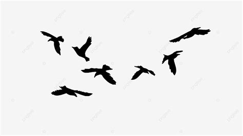 Flying Bird Flock Silhouette Transparent Background Flock Of Birds
