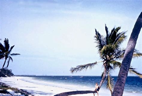 The Memory Wanderer Mombasa Beaches