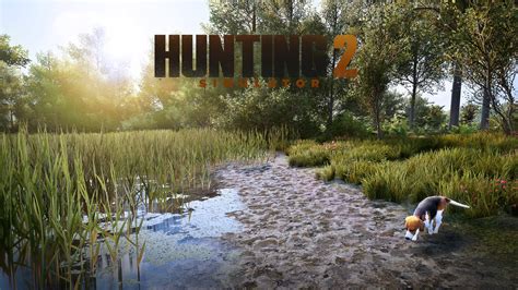 Hunting Simulator 2 Für Pc Veröffentlicht Gamers De Aktuelle Spiele