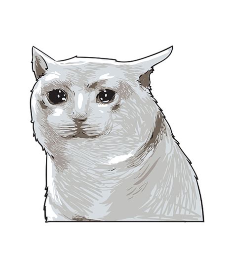 File Transparan Sad Cat Meme Png Play