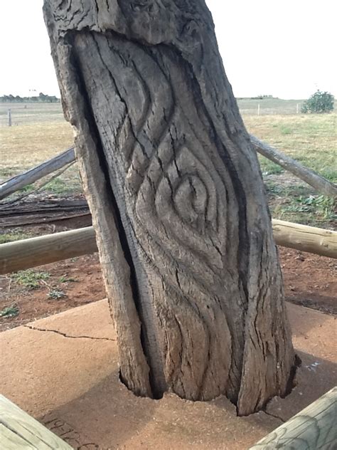 8 Best Carved Trees Images On Pinterest Aboriginal Art Aboriginal